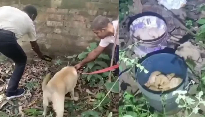 Gujarat ATS Foils Major